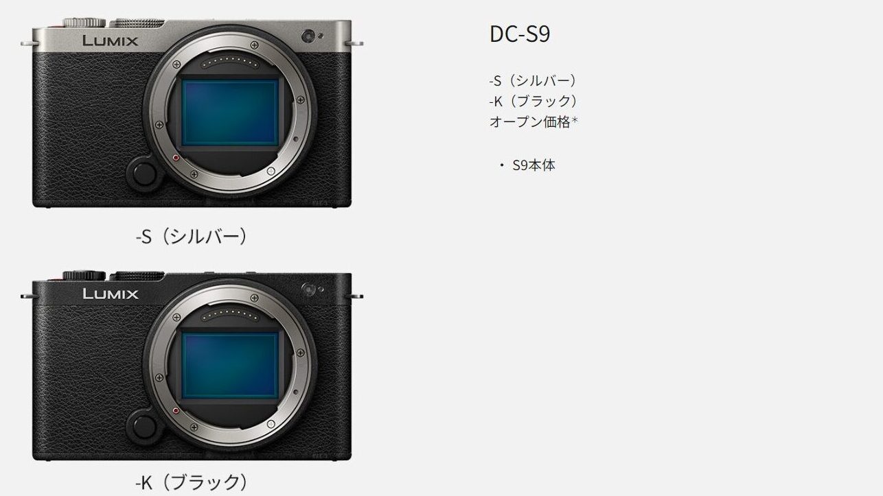 ベースカラーはブラックとシルバー