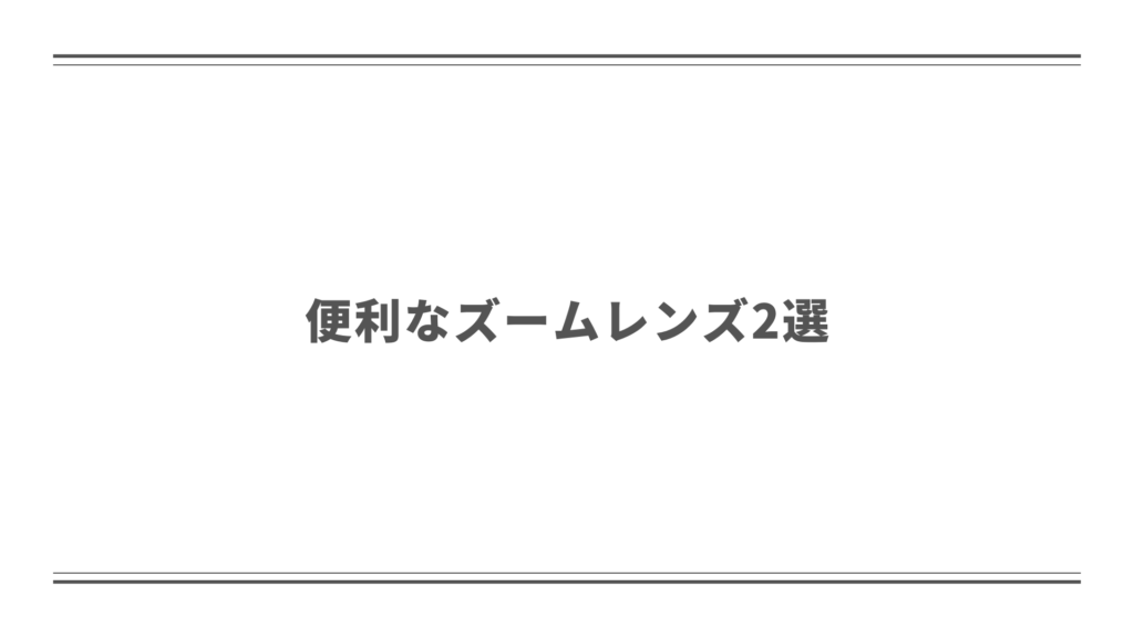 便利なズームレンズ2選